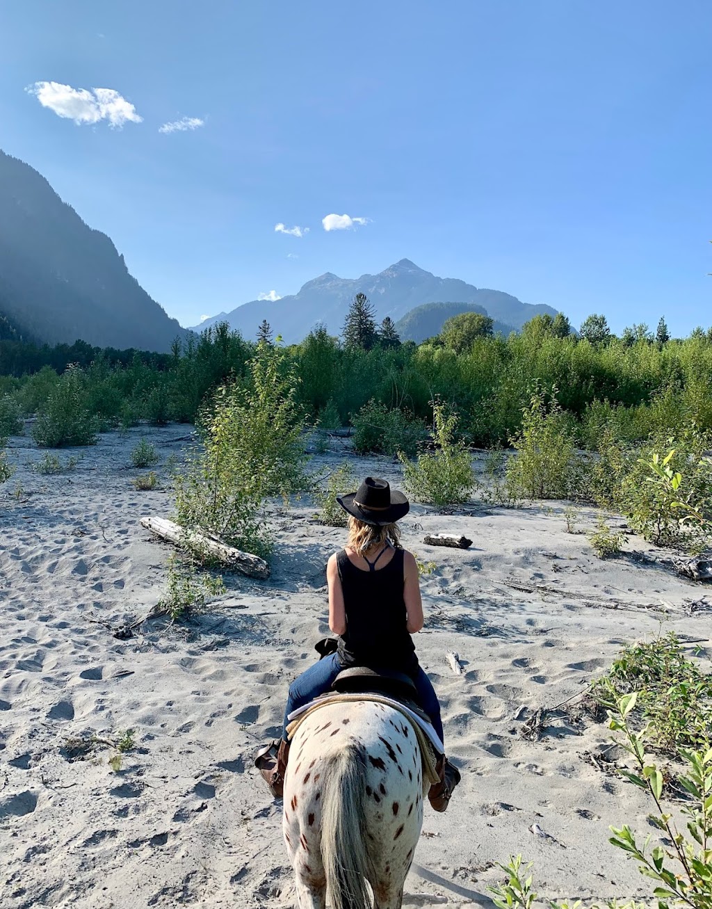 Squamish River Horse Adventures - SRHA | 15986 Squamish Valley Rd, Brackendale, BC V0N 1H0, Canada | Phone: (604) 905-8565