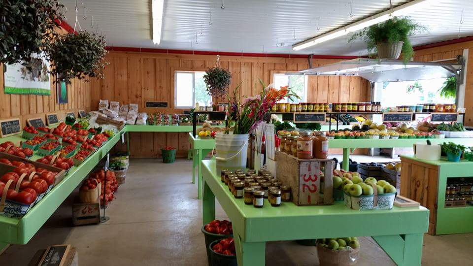 Sunrise Farms | 2190 Seacliff Dr, Kingsville, ON N9Y 2N5, Canada | Phone: (519) 326-5813