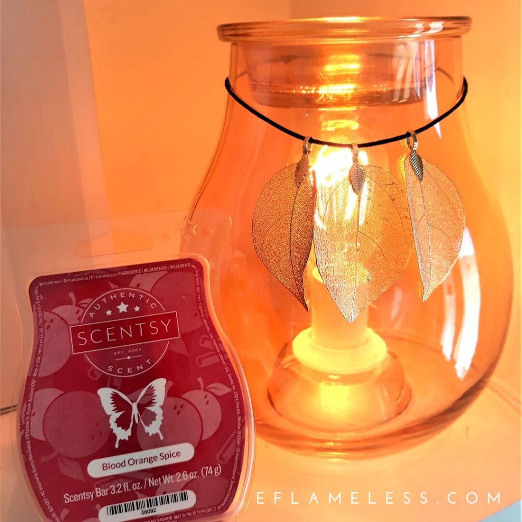 Alex Scentsy | 361 Rue Notre Dame, Portneuf, QC G0A 2Y0, Canada | Phone: (418) 552-6210