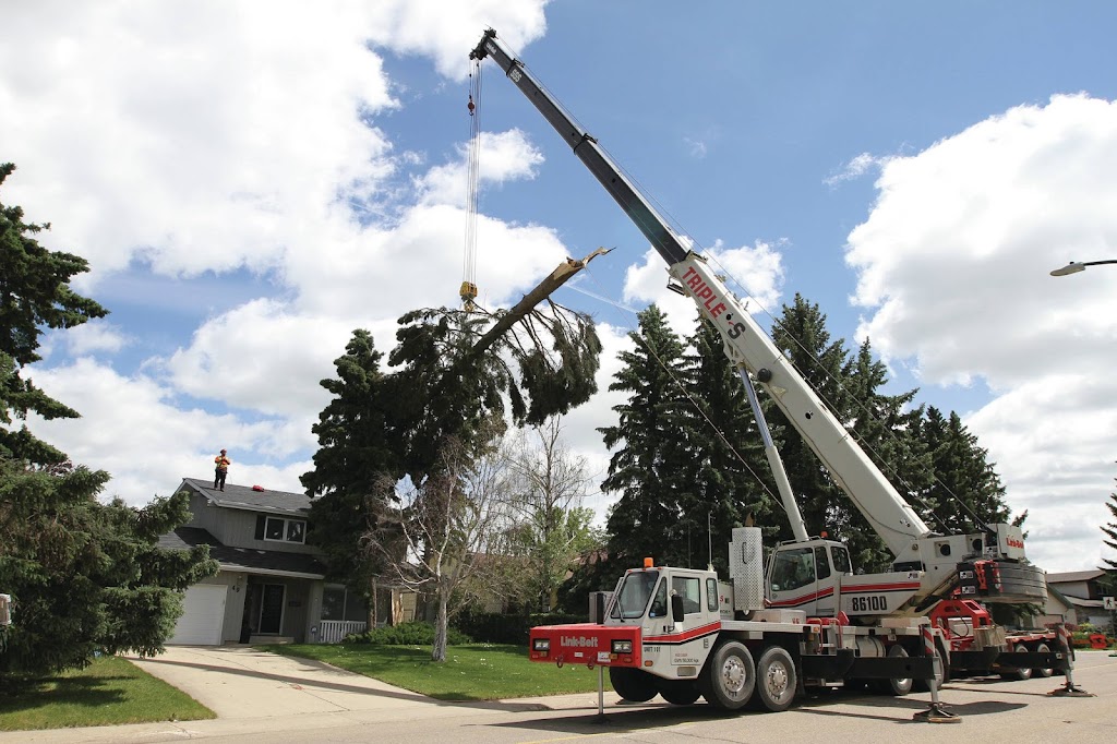 McCharles Tree Service | 3722 57 Ave #22046, Red Deer, AB T4N 6X4, Canada | Phone: (587) 377-5967