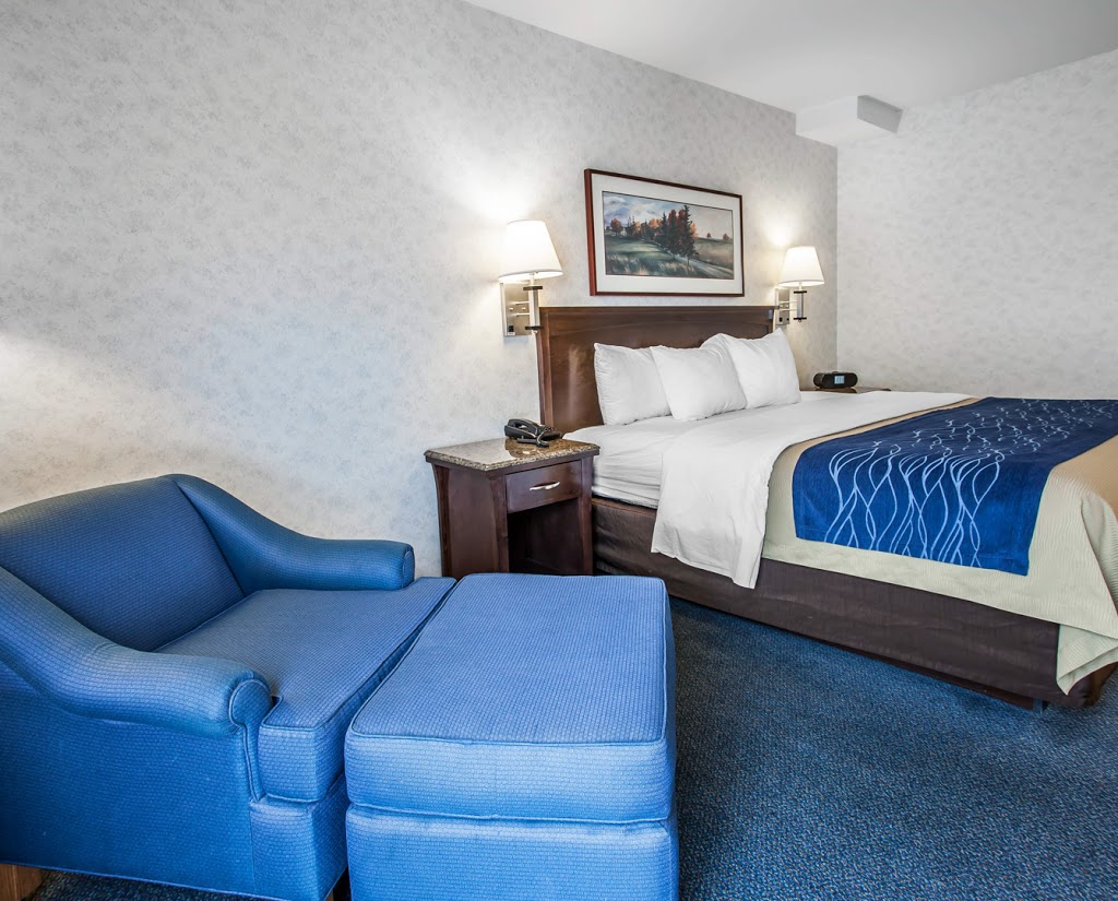 Comfort Inn | 4282 Meridian St, Bellingham, WA 98226, USA | Phone: (360) 738-1100