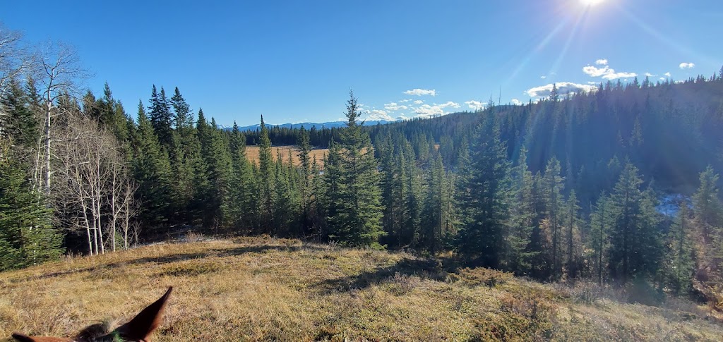 Saddle Peak Trail Rides | Alberta T0L 1N0, Canada | Phone: (403) 922-7430