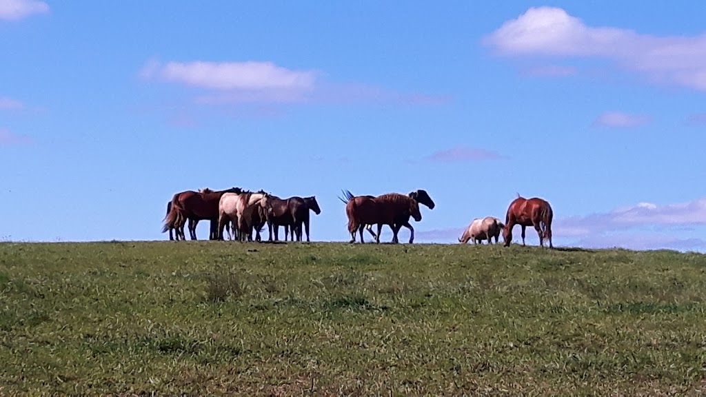 Winding Fences Farm | 1102 Ambleside Ln, Utterson, ON P0B 1M0, Canada | Phone: (705) 769-1418