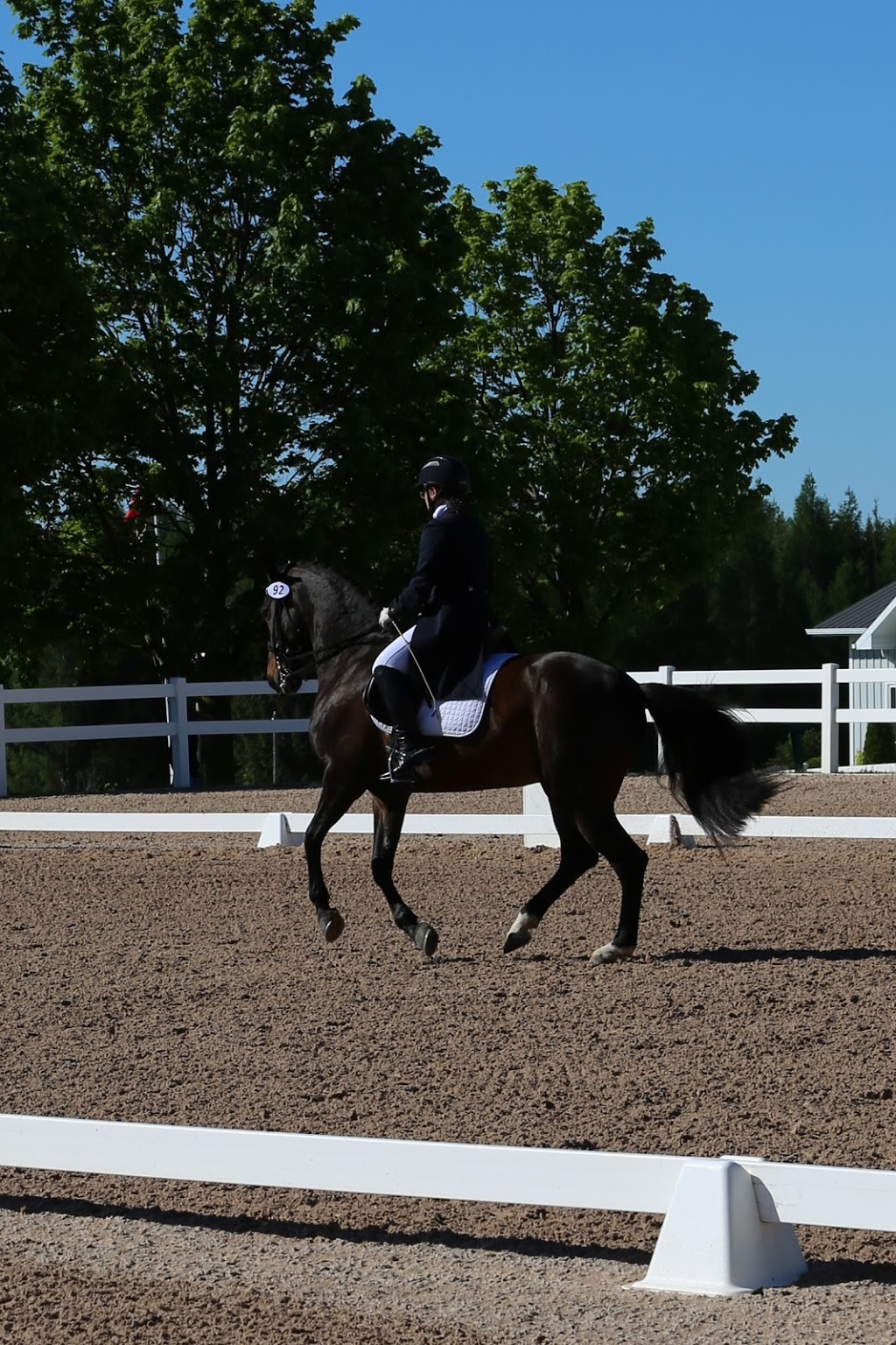 Jessop Dressage | 6448 Yonge St, Lefroy, ON L0L 1W0, Canada | Phone: (905) 392-6788