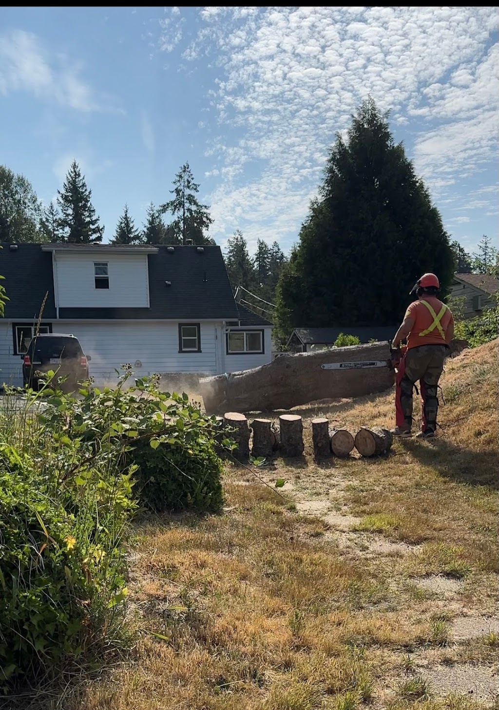 Totem Tree Services | 5189 Compton Rd, Port Alberni, BC V9Y 7B5, Canada | Phone: (250) 730-7770