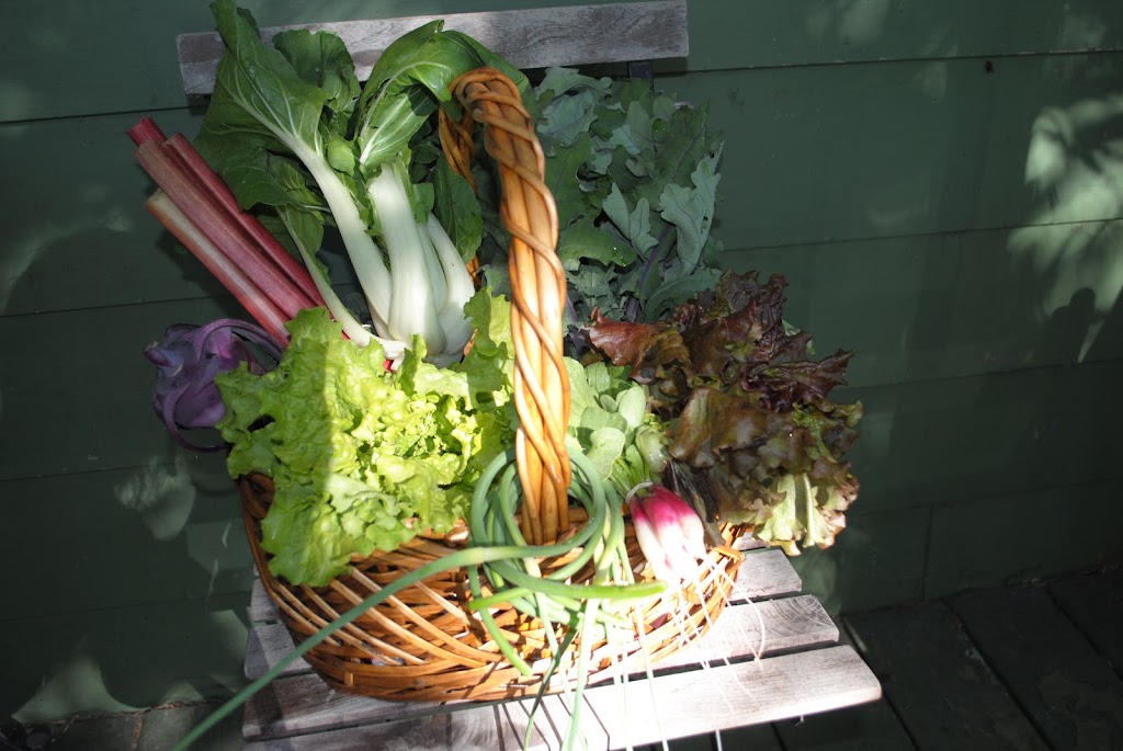 Tereausol Farm (Organic vegetables and fruits) | 306 Rang St Louis, Saint-André-Avellin, QC J0V 1W0, Canada | Phone: (514) 915-1888