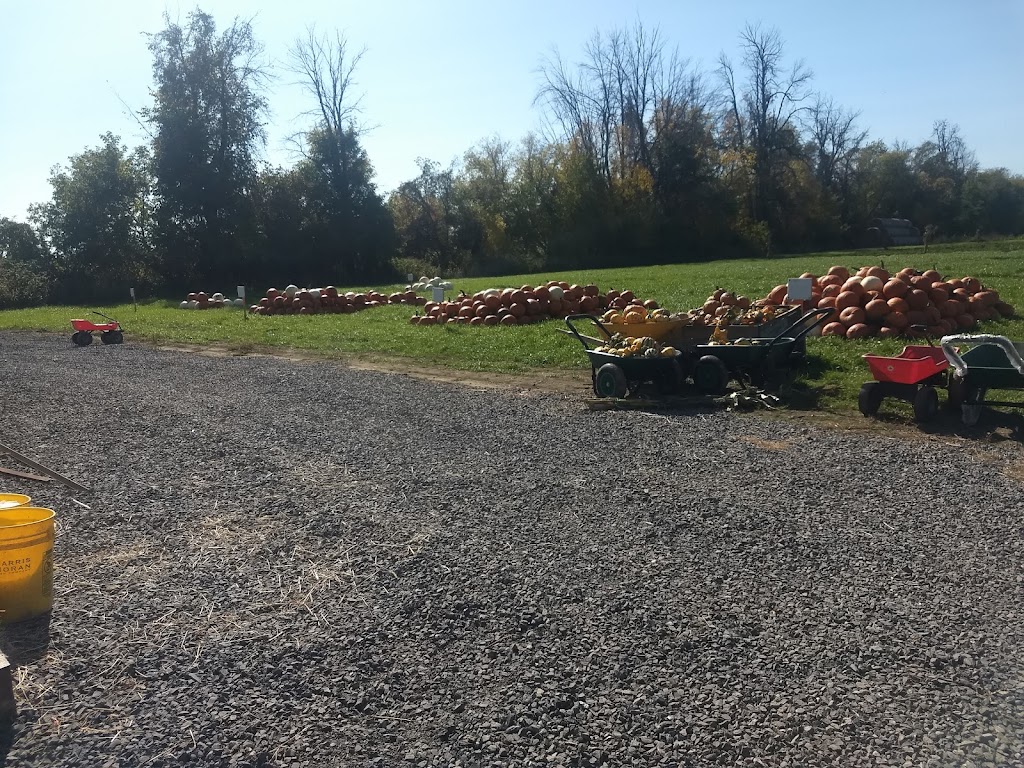 Foster Family Farm - Borrisokane Farm Stand | 3390 Borrisokane Rd, Ottawa, ON K2J 4J3, Canada | Phone: (613) 851-3903