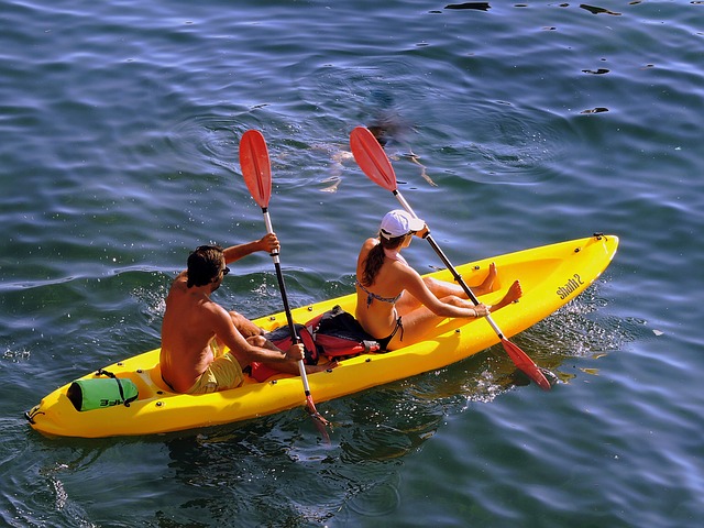 Les kayaks de La Rivière Sauvage | 345 Route Dostie, Saint-Romain, QC G0Y 1L0, Canada | Phone: (418) 486-2100