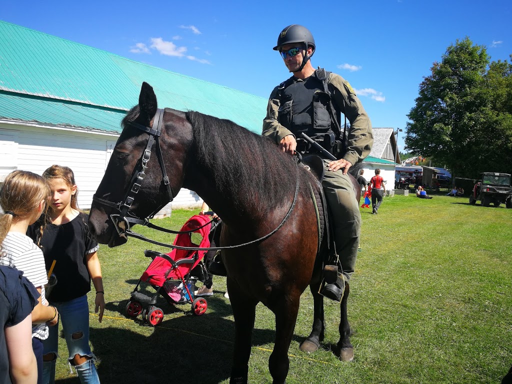 Expo Brome | 345 Chemin Stagecoach, Brome, QC J0E 1K0, Canada | Phone: (450) 242-3976