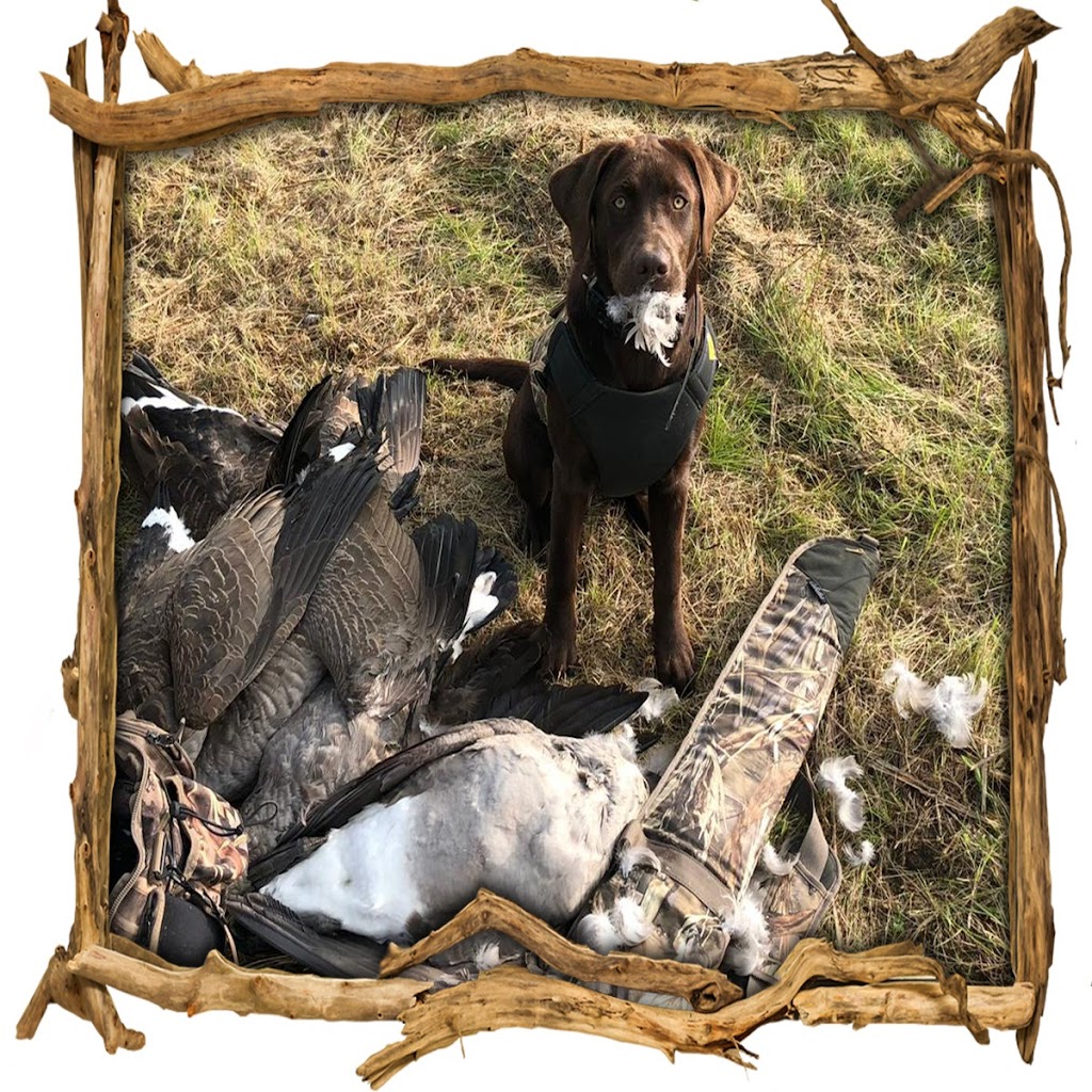 Hill’s waterfowl | Range Rd 255, Strathmore, AB T1P 0K3, Canada | Phone: (587) 727-5649