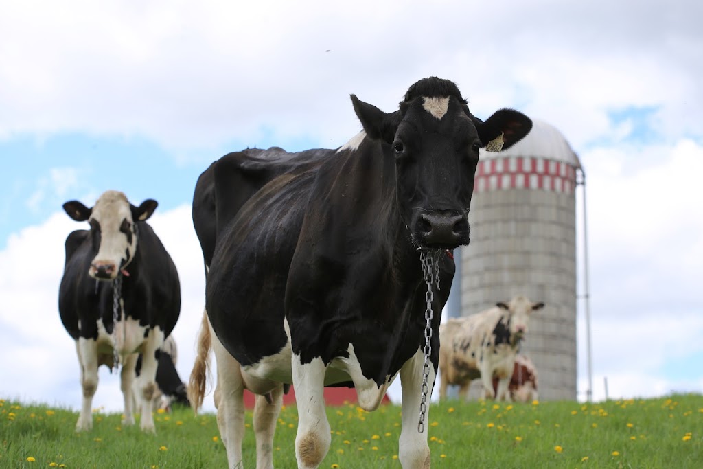 Ferme Fertilys | 860 QC-352, Sainte-Thècle, QC G0X 3G0, Canada | Phone: (418) 507-2697