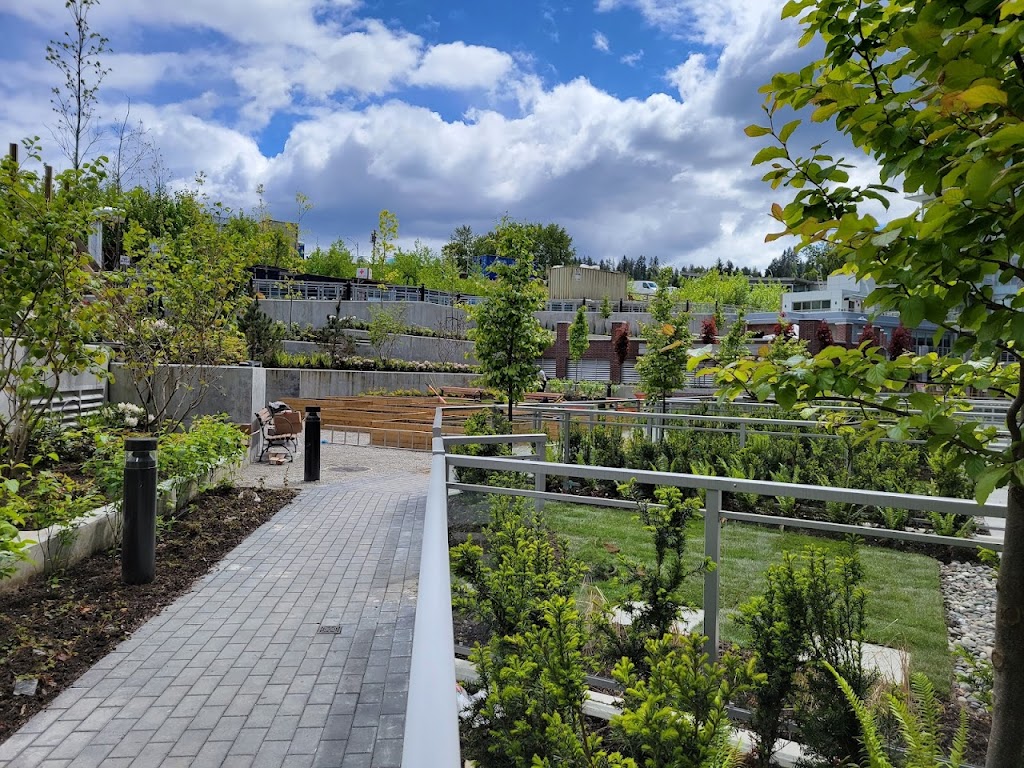 Actual Landscaping Inc | 26394 Trethewey Crescent, Maple Ridge, BC V2W 1A5, Canada | Phone: (604) 462-0237