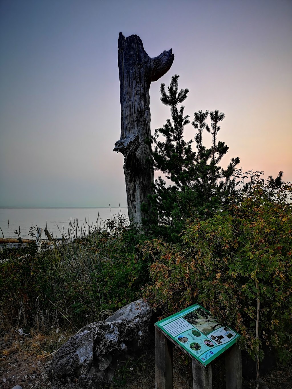 Bonniebrook Beach | Sunshine Coast E, BC, Canada