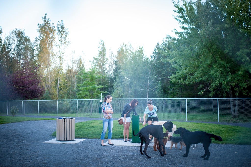 Parc canin Dave-Ross | 21 Rue de la Concorde, Victoriaville, QC G6P 6Y4, Canada | Phone: (819) 758-1571