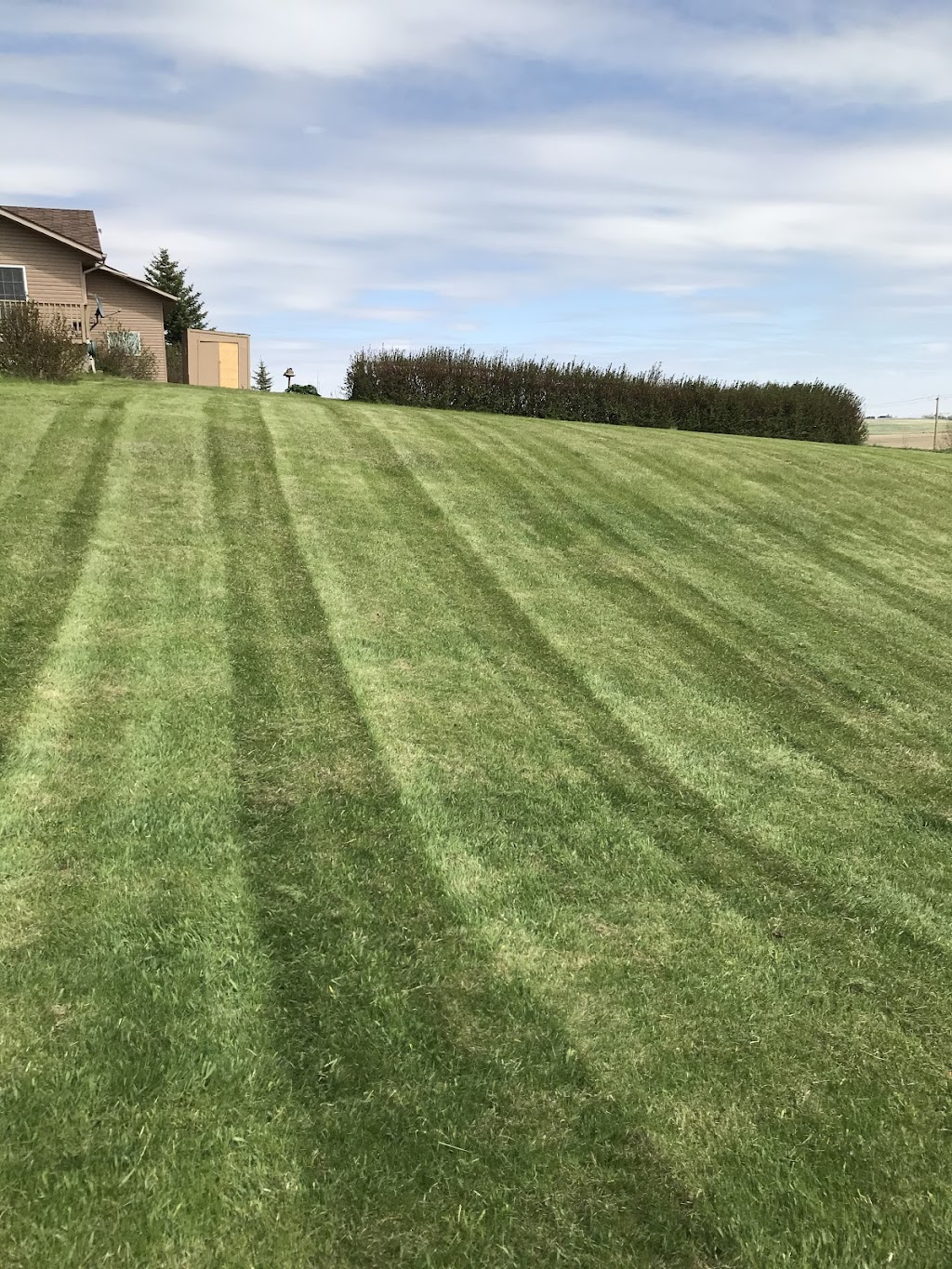 Cals lawn maintenance | 917 17 St SE, High River, AB T1V 1P8, Canada | Phone: (403) 422-0600