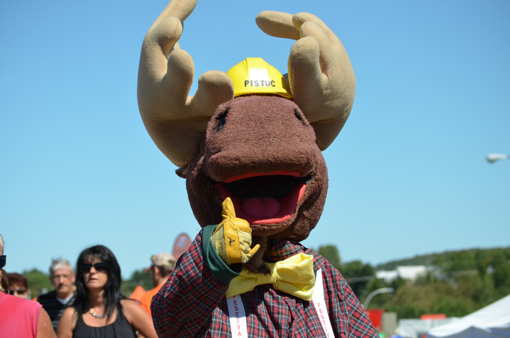 Festival du Bûcheux | 3 Rte Elgin S, Saint-Pamphile, QC G0R 3X0, Canada | Phone: (418) 356-3560