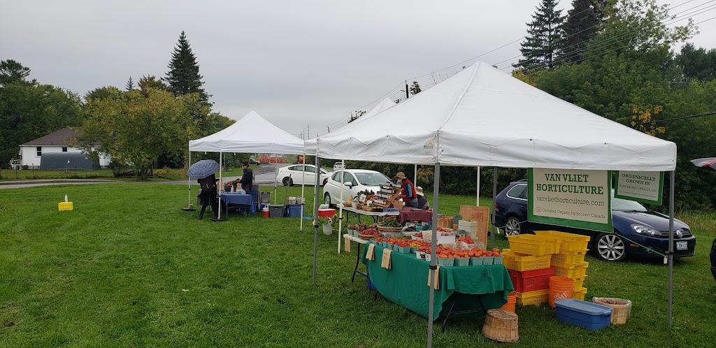 Just Food Farm Stand | 2391 Pépin Ct, Gloucester, ON K1B 4C4, Canada | Phone: (613) 981-4568