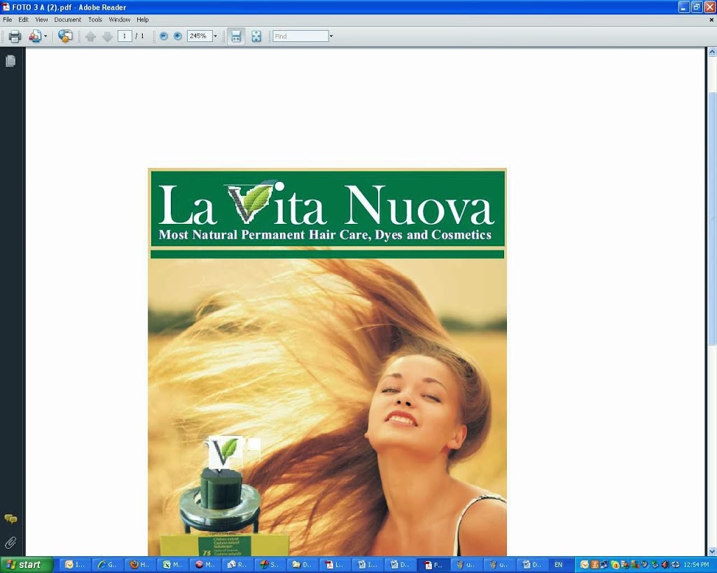 La Vita Nuova Inc | 2410 Emerson Dr, Burlington, ON L7L 7M3, Canada | Phone: (905) 616-5064