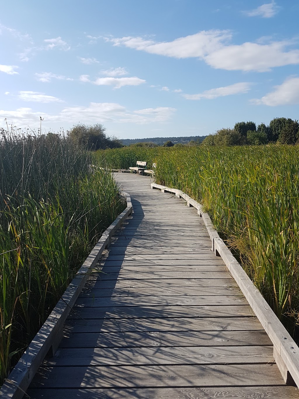 Centennial Beach Boundary Bay Regional Park | 541 Centennial Pkwy, Delta, BC V4L 2L5, Canada | Phone: (604) 349-0371