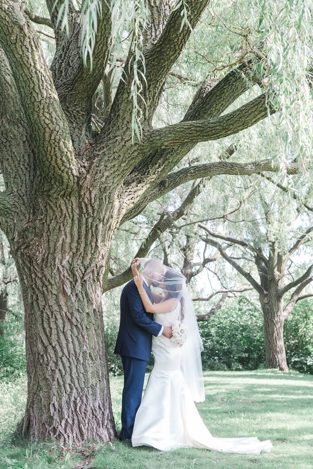 Timeless Tree Weddings | 81 Beechborough Ave, York, ON M6M 1Z8, Canada | Phone: (647) 530-1604