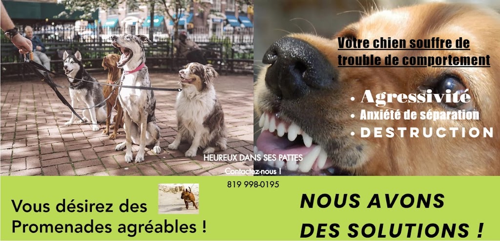 Heureux Dans Ses Pattes | 950 QC-116, Laurierville, QC G0S 1P0, Canada | Phone: (819) 998-0195