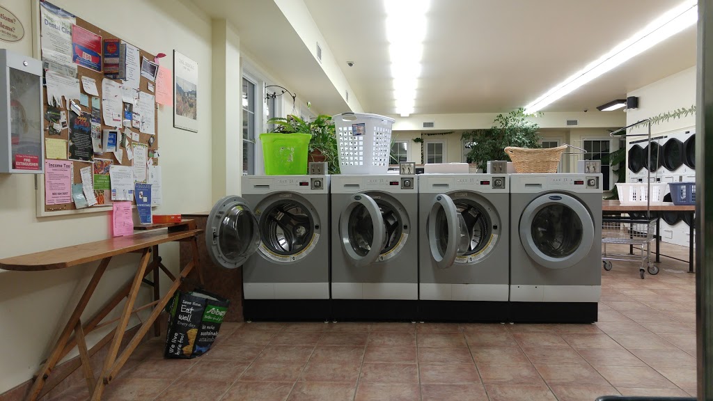 The Laundry Basket | 468 Ridge Rd N, Ridgeway, ON L0S 1N0, Canada | Phone: (905) 328-1206