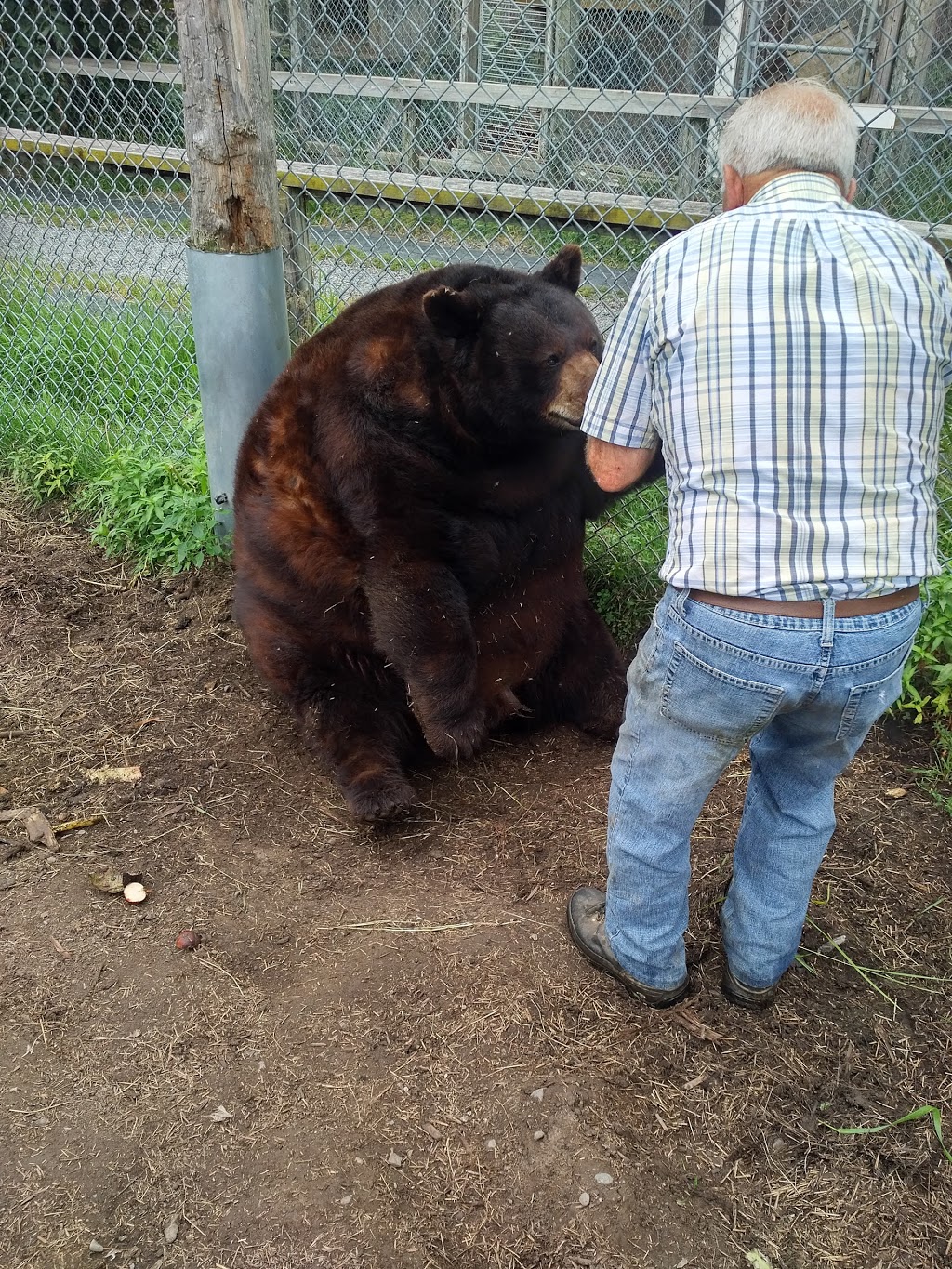 Pavillon de la Faune Inc. | 856 Chemin de Stratford, Stratford, QC G0Y 1P0, Canada | Phone: (418) 443-2300