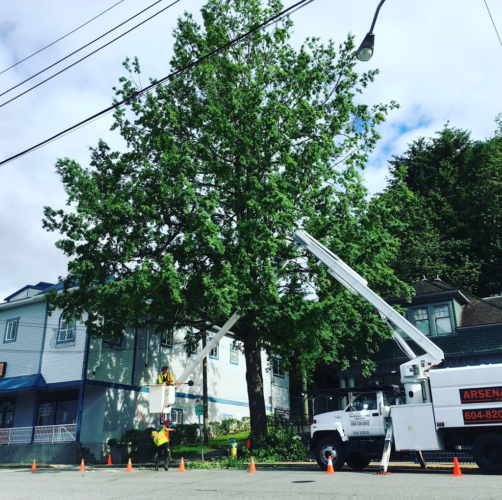 Arsenault Tree Service | 33746 Best Ave, Mission, BC V2V 6Z9, Canada | Phone: (604) 820-8842