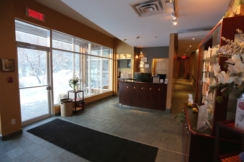 Spa Eau Vive | 60 Chemin Mill, Wakefield, QC J0X 3G0, Canada | Phone: (819) 459-1838