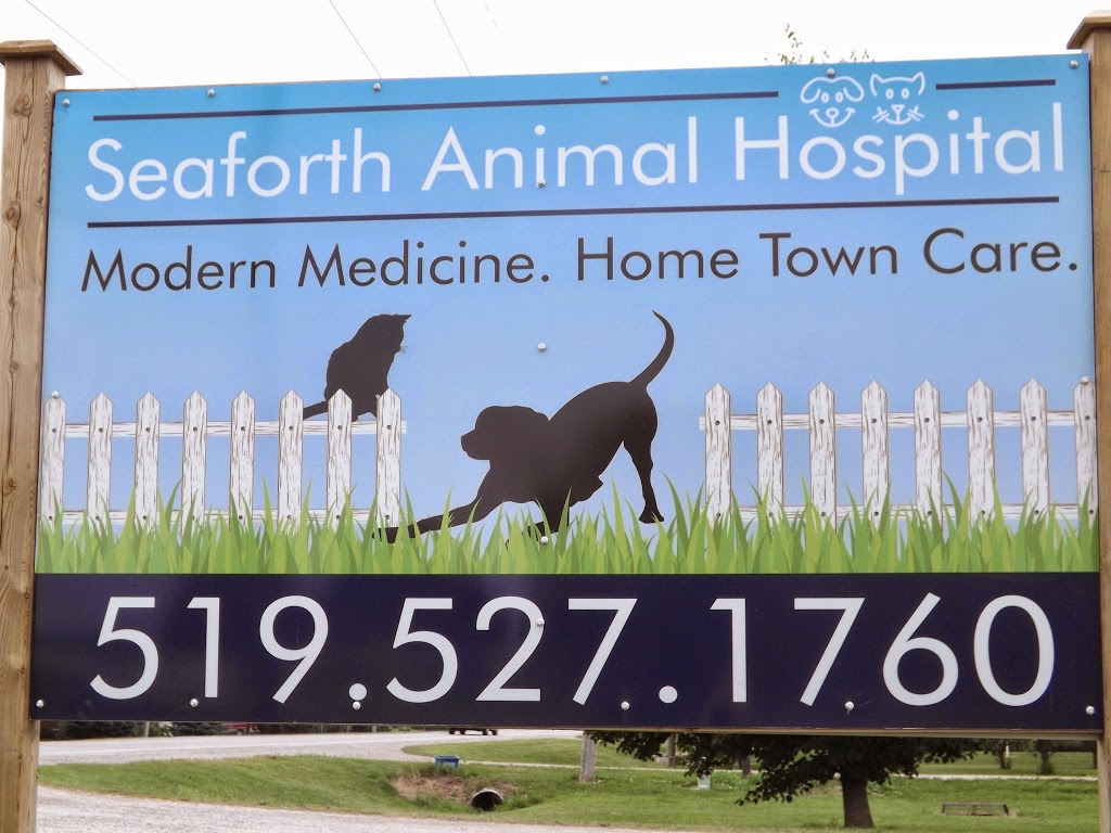 Seaforth Animal Hospital | 80205 N Line, Seaforth, ON N0K 1W0, Canada | Phone: (519) 527-1760