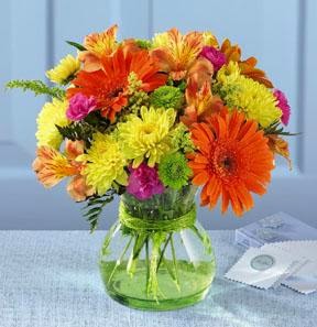 Calgarys Own Flower Company Inc | 3500 26 Ave NE, Calgary, AB T1Y 6J4, Canada | Phone: (403) 262-2699