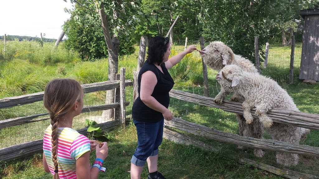 Farm Du Bassin | 1040 Rang Saint Jean Baptiste, Saint-Joachim-de-Courval, QC J1Z 2E2, Canada