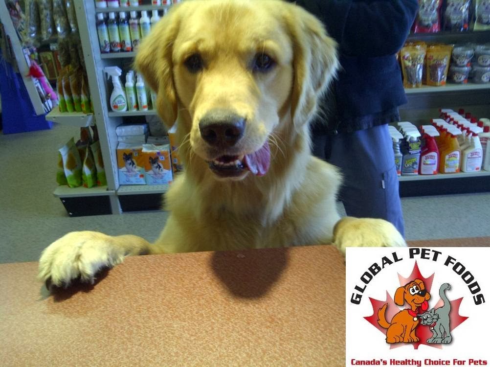 Global Pet Foods Cambrian | 761 Northmount Dr NW, Calgary, AB T2L 0A1, Canada | Phone: (403) 457-1914