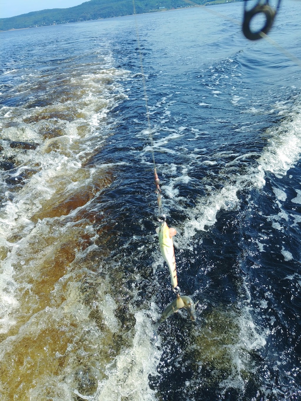 Pêche Aventures Saguenay | 821 Rte de lAnse à Benjamin, La Baie, QC G7B 3P4, Canada | Phone: (418) 540-9570