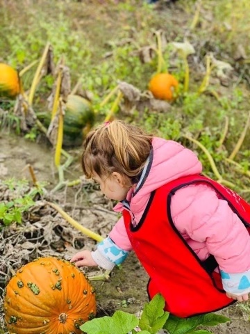 Nursery Small Cercle Inc | 155 Blvd. Sir-Wilfrid-Laurier, Saint-Basile-le-Grand, QC J3N 1A9, Canada | Phone: (450) 653-4747