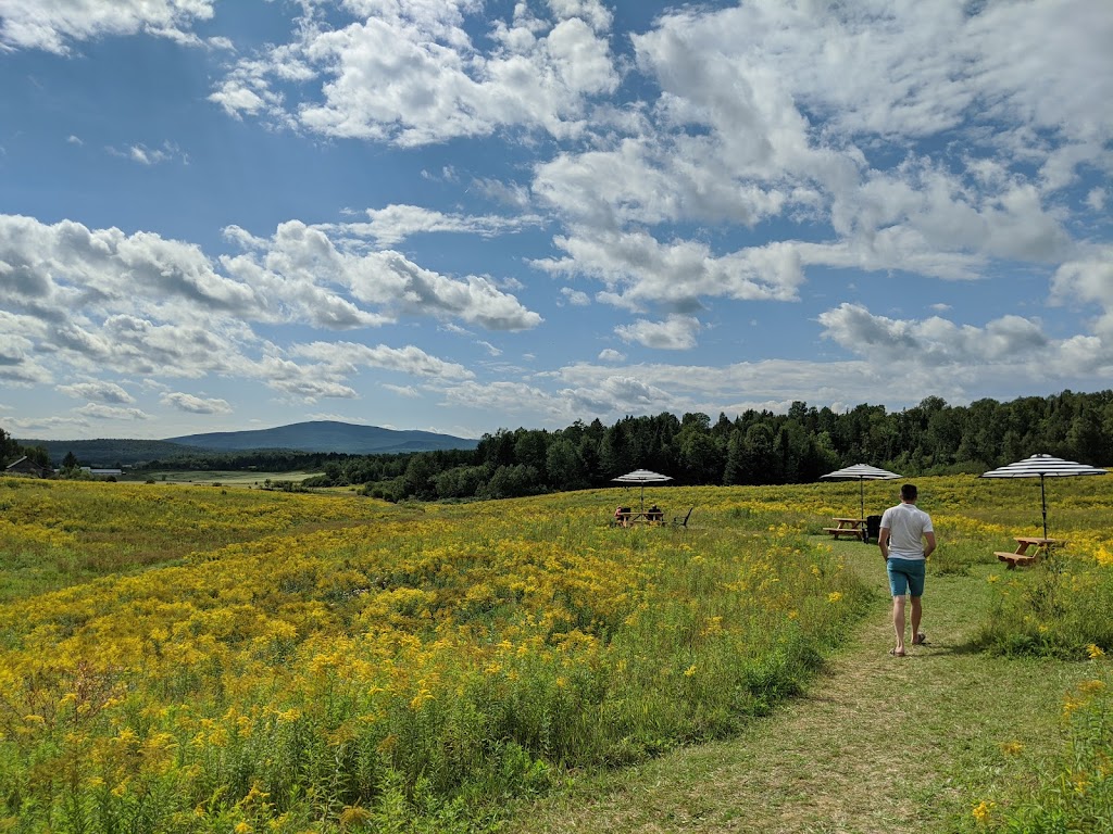 Miels dAnicet | 111 Rang 2 de Gravel, Ferme-Neuve, QC J0W 1C0, Canada | Phone: (819) 587-4825