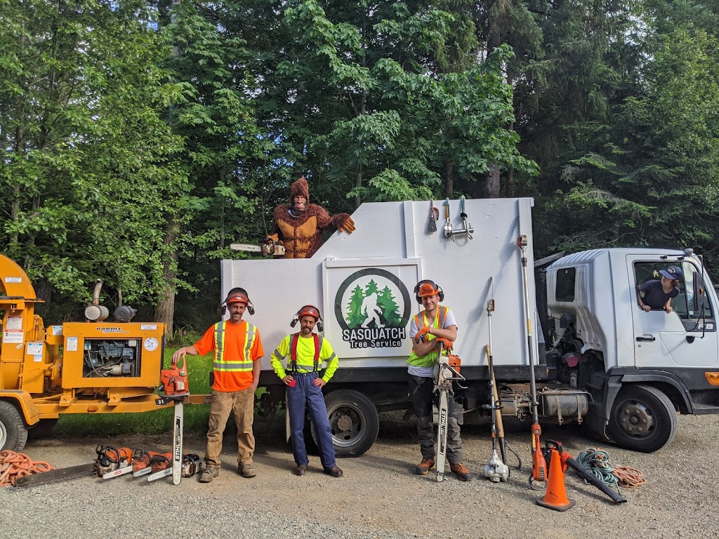 Sasquatch Tree Service | 4560 Duncan Bay Main Line Rd, Courtenay, BC V9N 9M4, Canada | Phone: (250) 218-0416