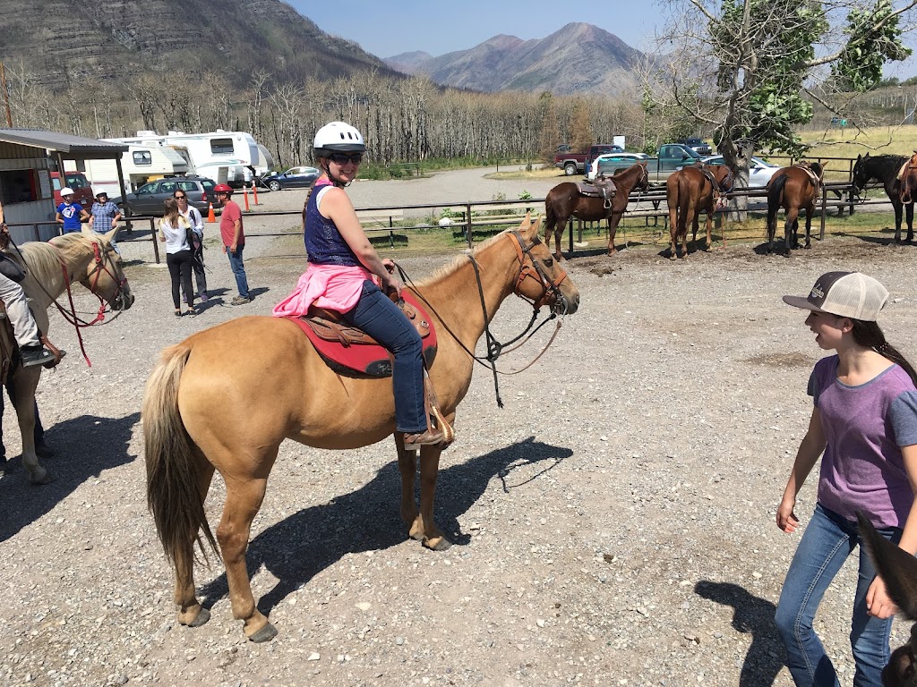 Alpine Stables Ltd | 1 marquis road, Waterton Park, AB T0K 2M0, Canada | Phone: (403) 859-2462