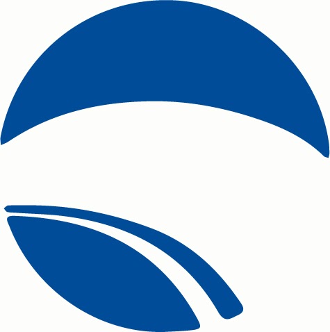 Blue Fidelity Inc. | 34 Yewfield Crescent, North York, ON M3B 2Y4, Canada | Phone: (416) 477-4287