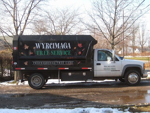 Wyrcimaga Tree Service | 4332 Greenlane, Beamsville, ON L0R 1B1, Canada | Phone: (905) 563-4593