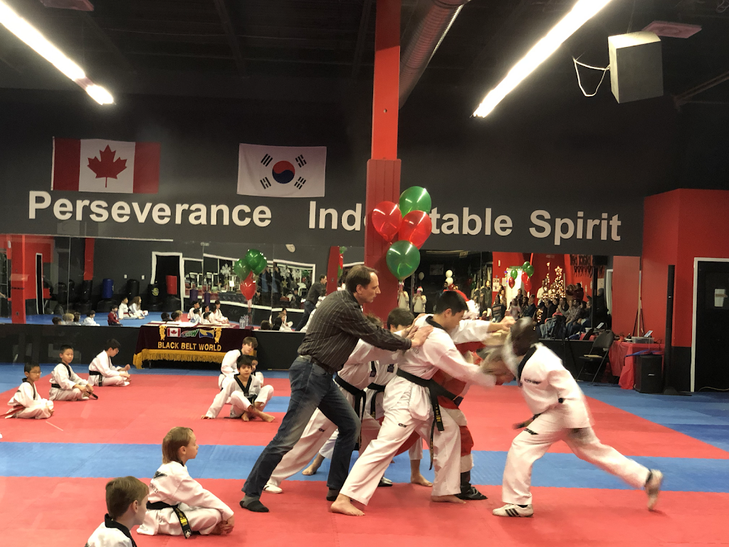 Black Belt World Oakville | 467 Speers Road, Units 5-8, Oakville, ON L6K 3S4, Canada | Phone: (905) 849-5437