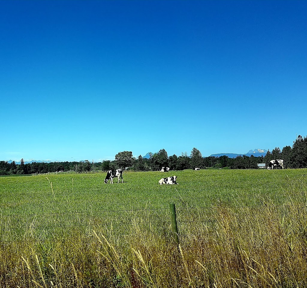 Aldergrove Park Entrance | 685 Lefeuvre Rd, Abbotsford, BC V4X 1A5, Canada