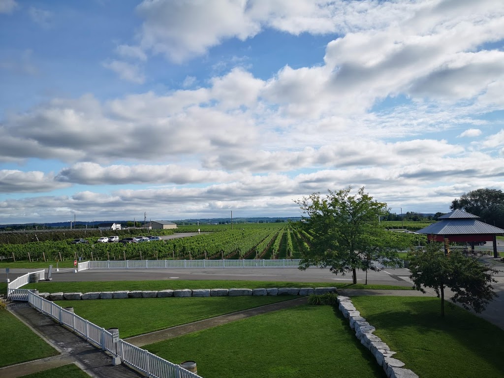 Trius Winery & Restaurant | 1249 Niagara Stone Rd, Niagara-on-the-Lake, ON L0S 1J0, Canada | Phone: (800) 582-8412