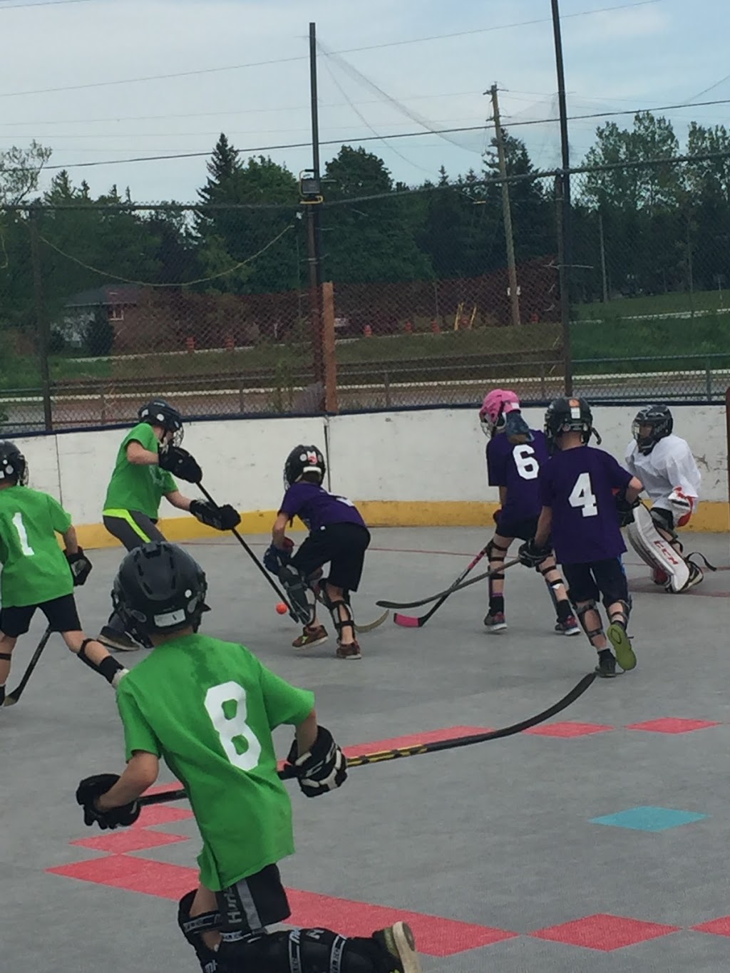 DHL Ball Hockey | 103 Hurricane Rd, Fonthill, ON L3B 2L8, Canada | Phone: (905) 321-5031