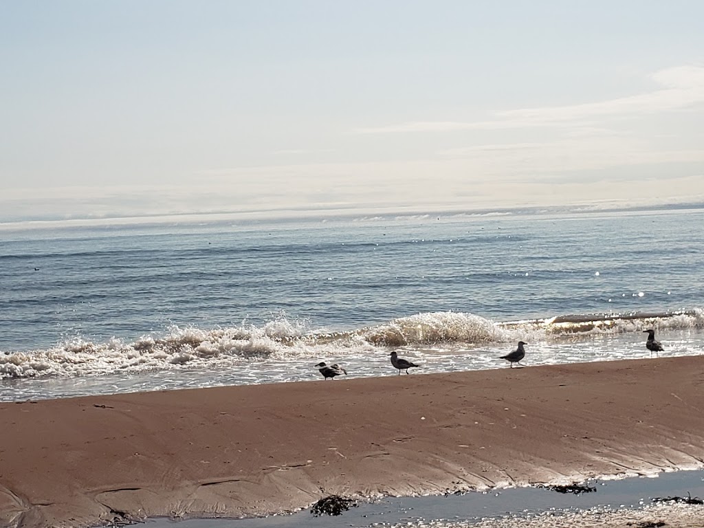 North Rustico Beach, Prince Edward Island National Park | 80 Gulf Shr Pkwy W, North Rustico, PE C0A 1X0, Canada | Phone: (902) 672-6350