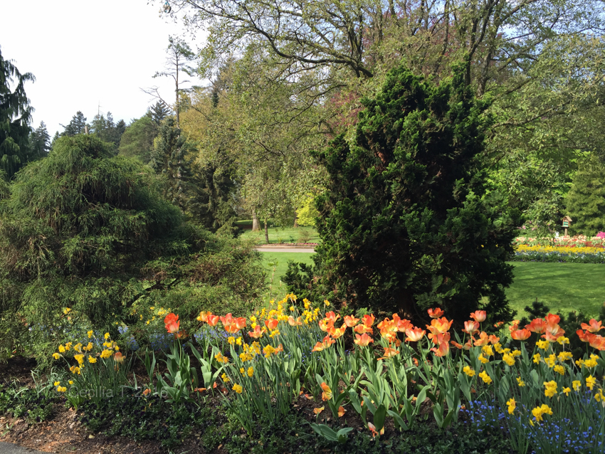 Stanley Park Horse-Drawn Tours | 735 Stanley Park Dr, Vancouver, BC V6C 2T1, Canada | Phone: (604) 681-5115