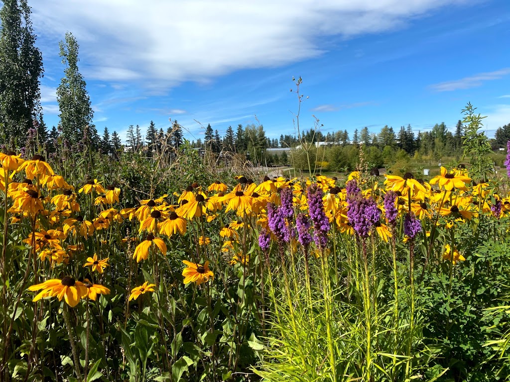 Olds College, Botanic Gardens & Constructed Wetlands | 4333 47 St, Olds, AB T4H 1R6, Canada | Phone: (403) 556-8323