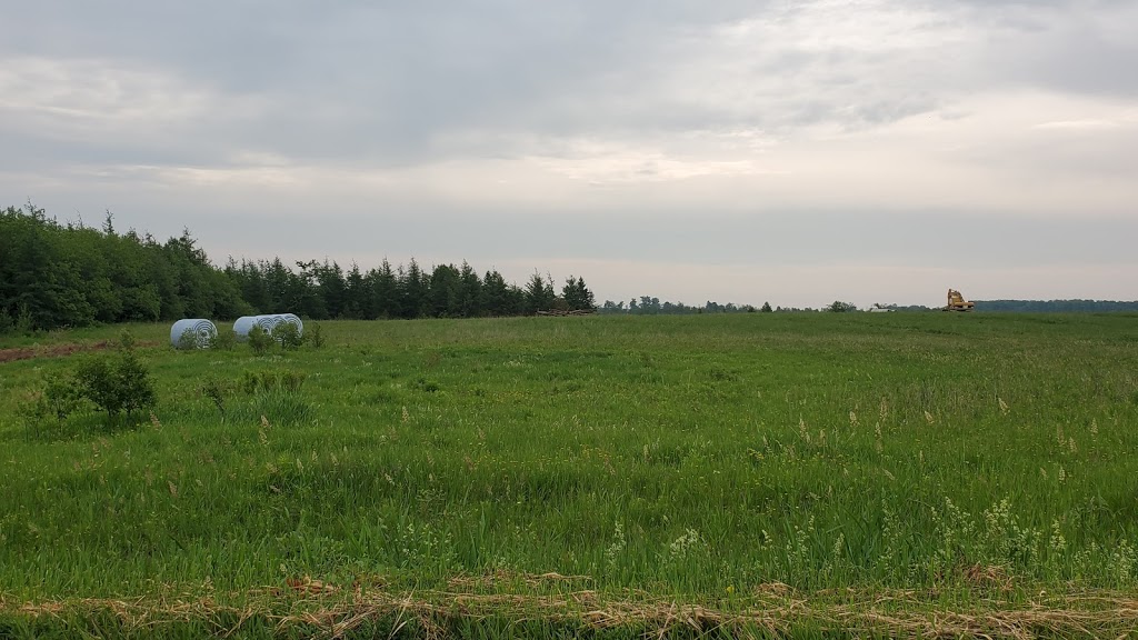 Heavy Duty Tarps | 192748 Side Rd 19, Southgate, ON N0C 1B0, Canada | Phone: (800) 416-4294