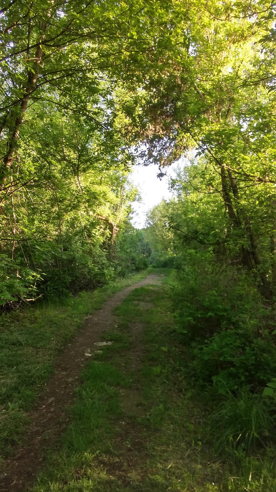 Silverstar Grey Canal Trail | Rugg Rd, Vernon, BC V1B 3S9, Canada