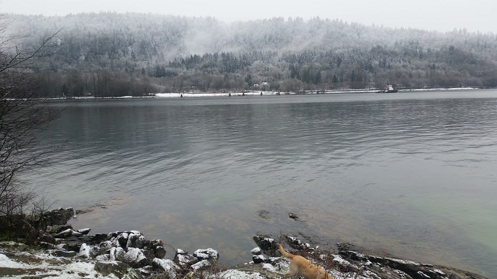 Maple Beach | Burrard Inlet, British Columbia, Port Moody, BC V3H 4P6, Canada